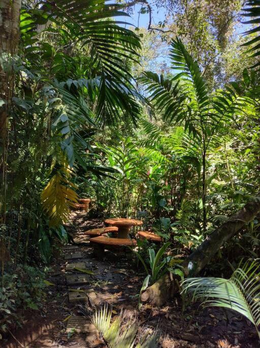 Eco Villas Tambor Tucanes المظهر الخارجي الصورة