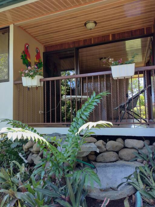 Eco Villas Tambor Tucanes المظهر الخارجي الصورة
