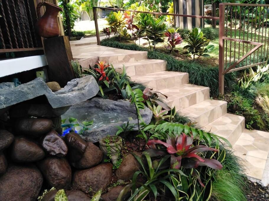 Eco Villas Tambor Tucanes المظهر الخارجي الصورة