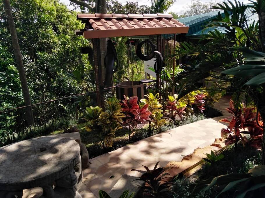 Eco Villas Tambor Tucanes المظهر الخارجي الصورة