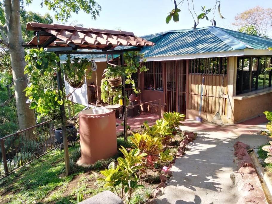 Eco Villas Tambor Tucanes المظهر الخارجي الصورة