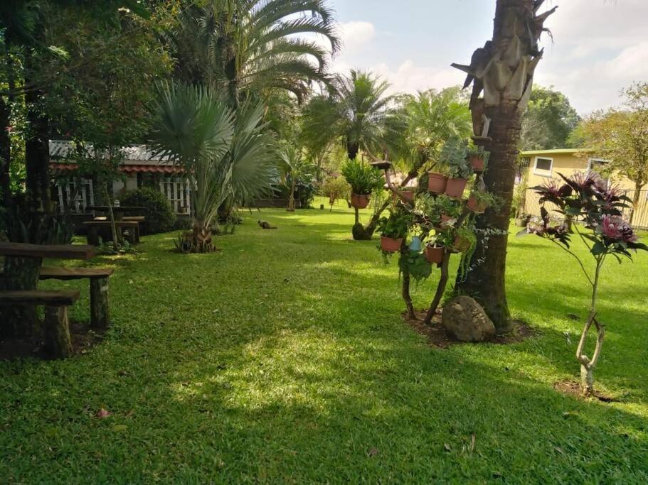 Eco Villas Tambor Tucanes المظهر الخارجي الصورة