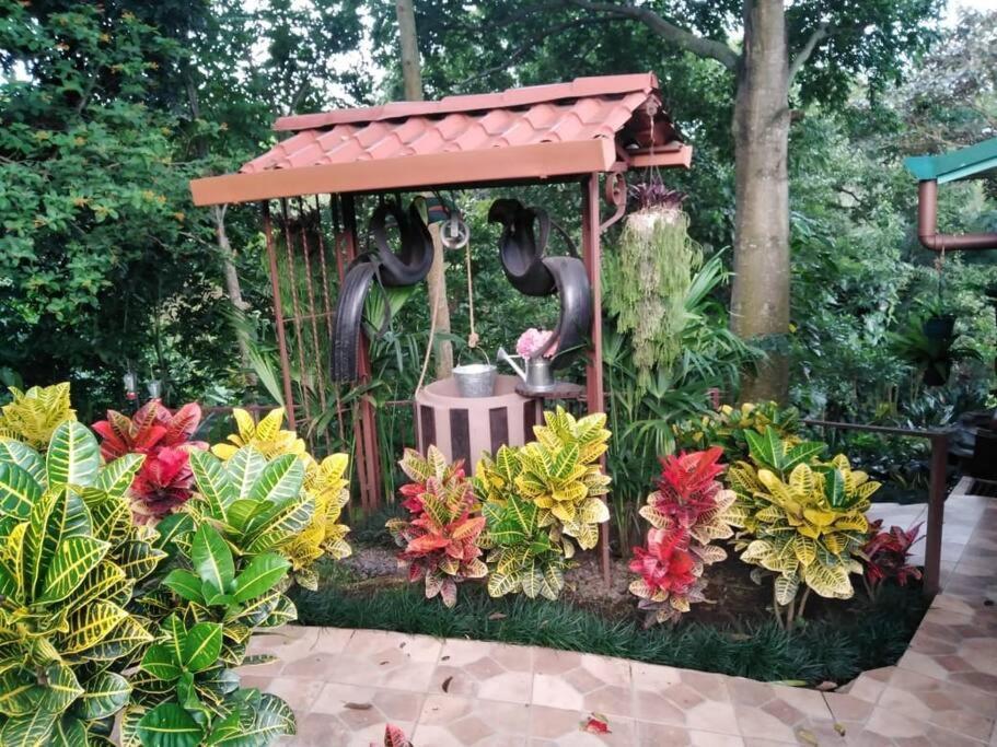 Eco Villas Tambor Tucanes المظهر الخارجي الصورة