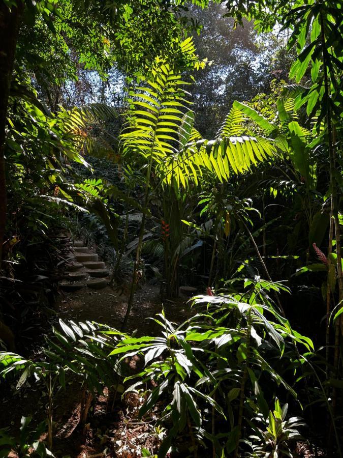 Eco Villas Tambor Tucanes المظهر الخارجي الصورة