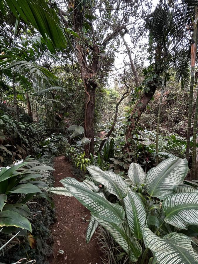Eco Villas Tambor Tucanes المظهر الخارجي الصورة