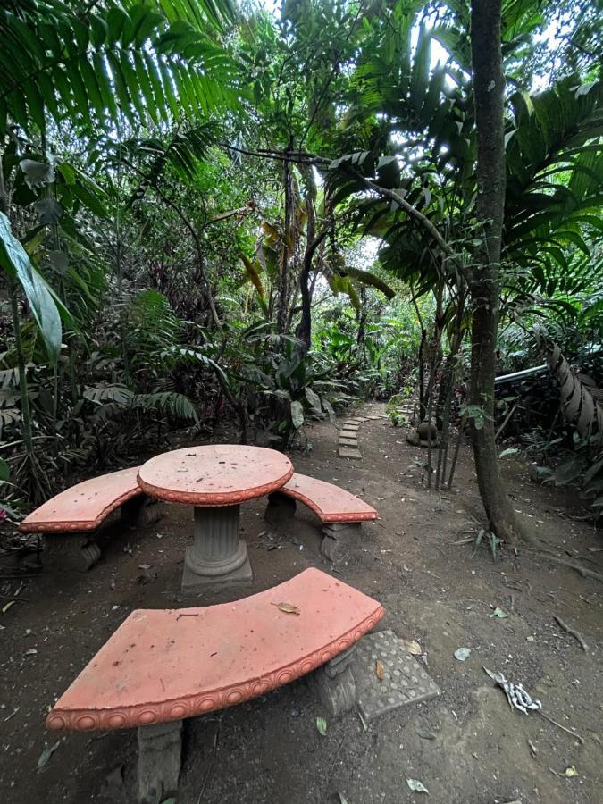 Eco Villas Tambor Tucanes المظهر الخارجي الصورة