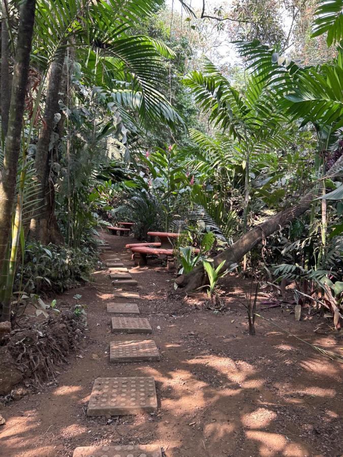 Eco Villas Tambor Tucanes المظهر الخارجي الصورة