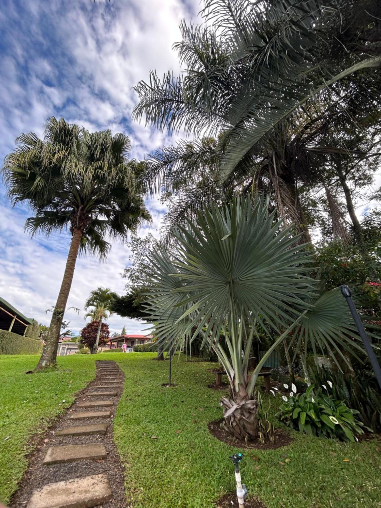 Eco Villas Tambor Tucanes المظهر الخارجي الصورة